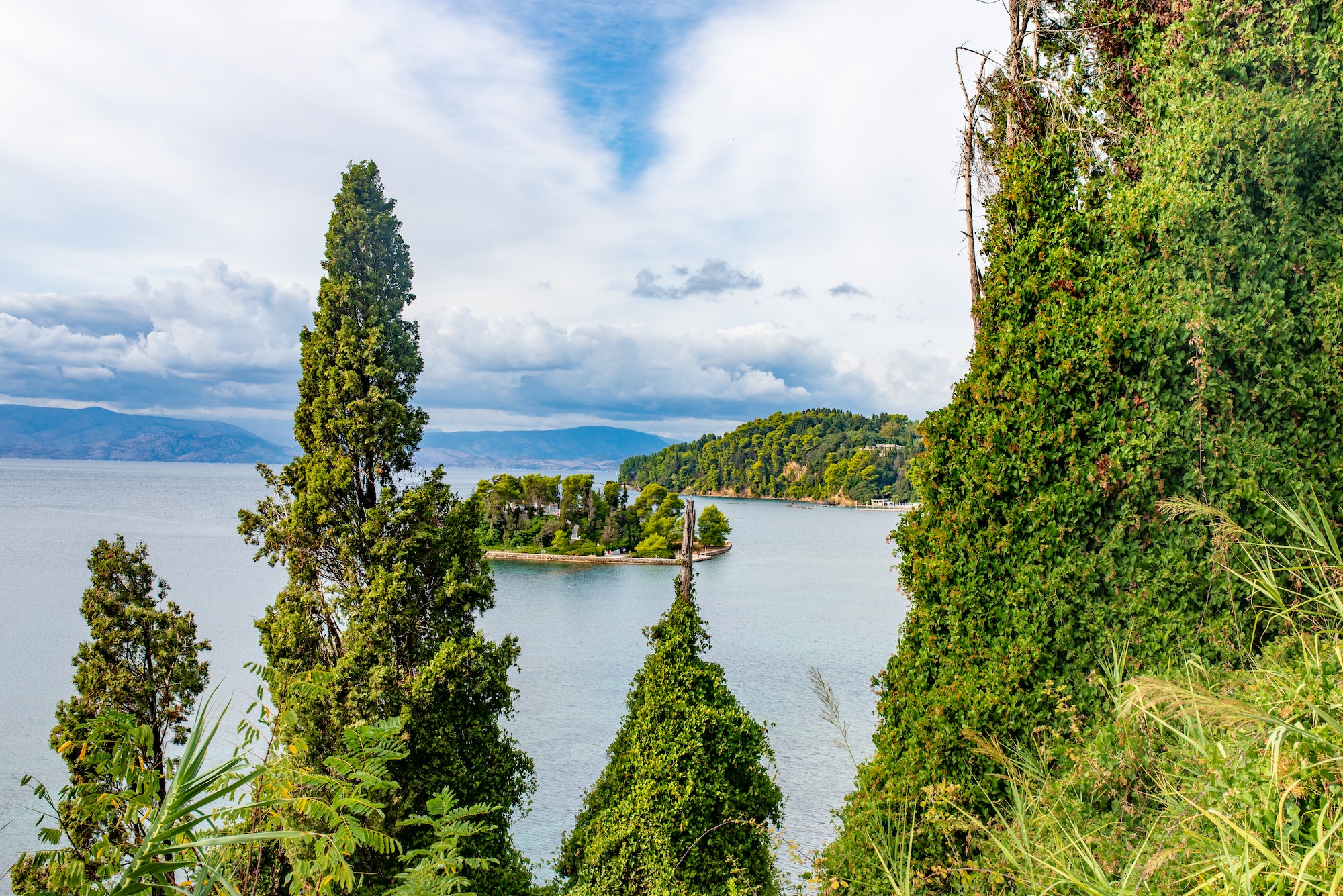 Trees on Corfu island coast, Greece