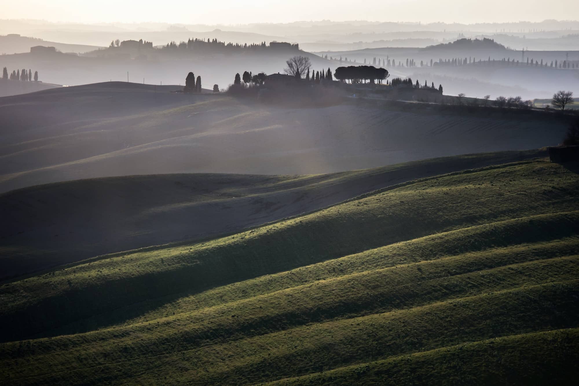 Crete senesi, rolling hills on sunset. Rural landscape near Sien