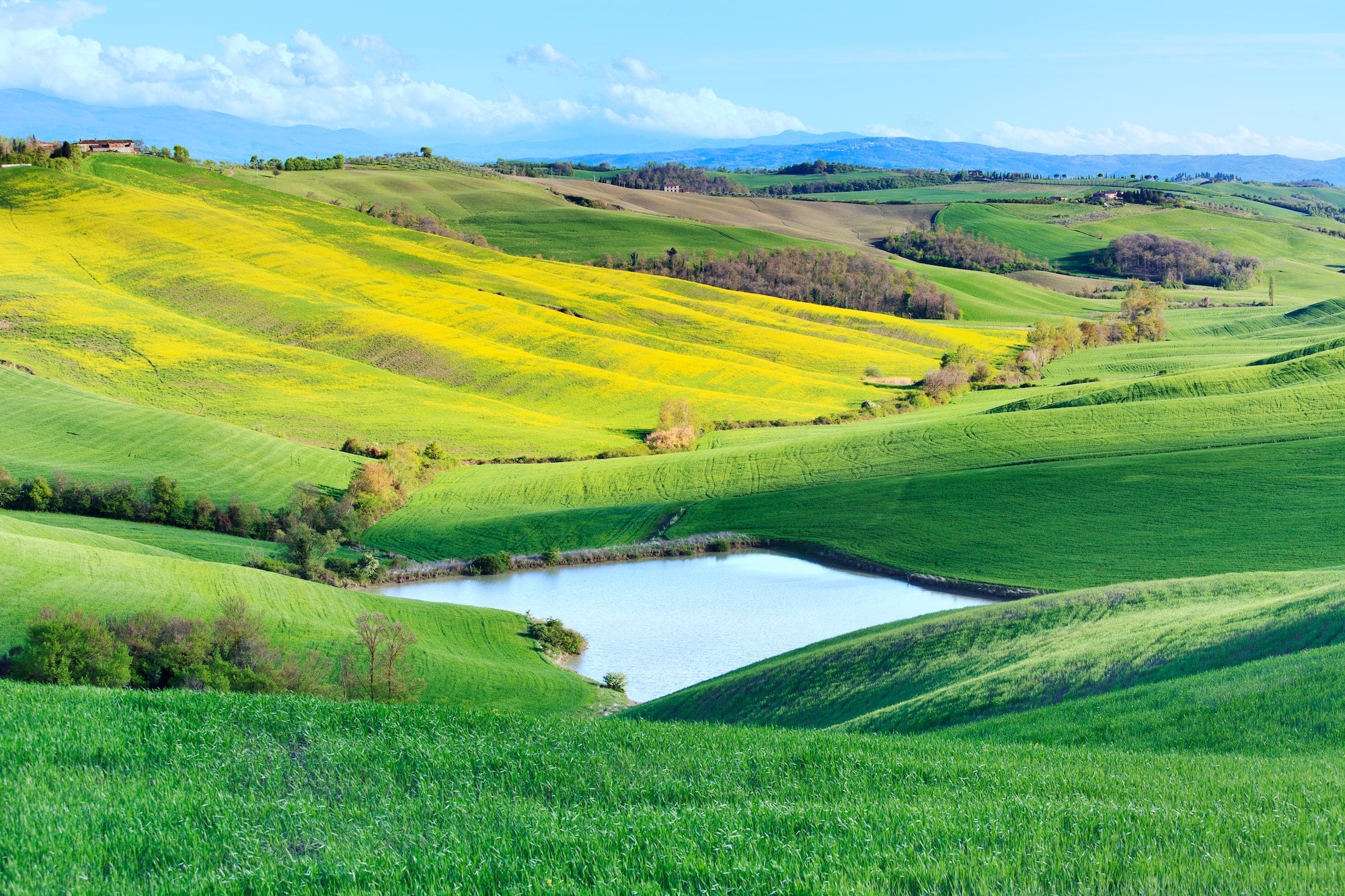 Tuscany, Crete Senesi rural landscape, Italy. Lake green yellow