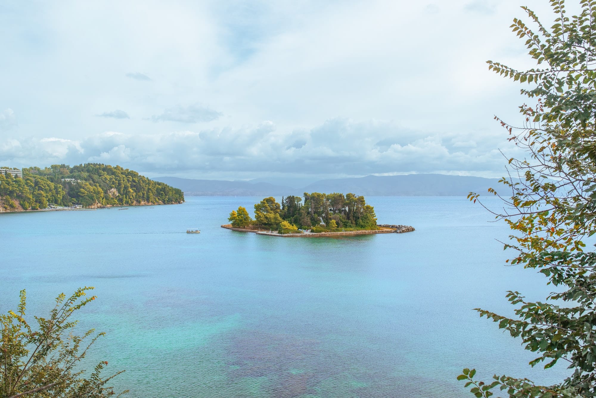 Trees on Corfu island coast, Greece
