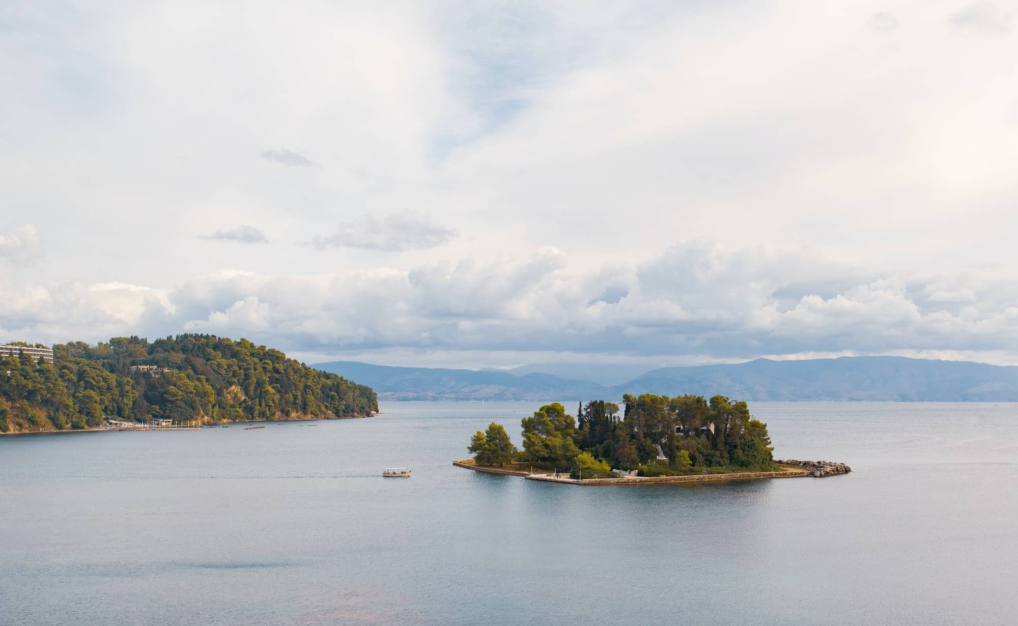 Trees on Corfu island coast, Greece.